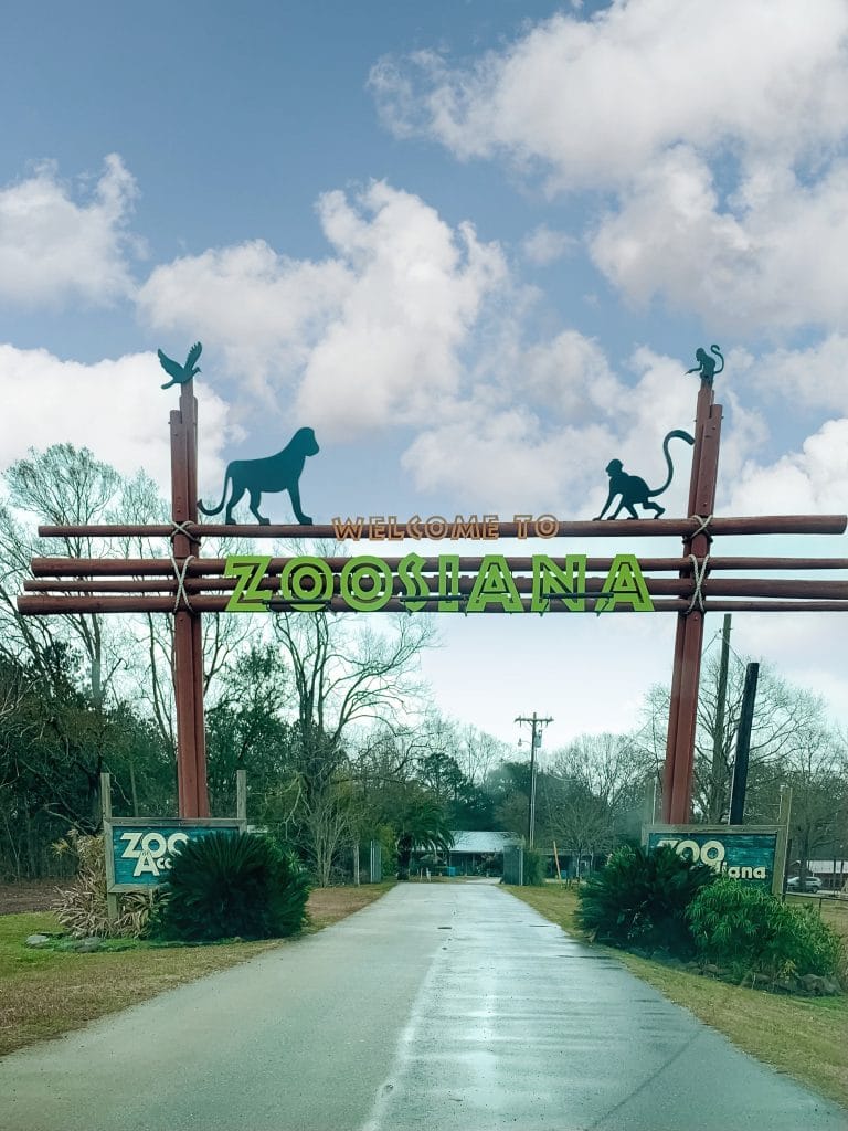 The front gate of Zoosiana, one of the best things to do in Lafayette with kids.