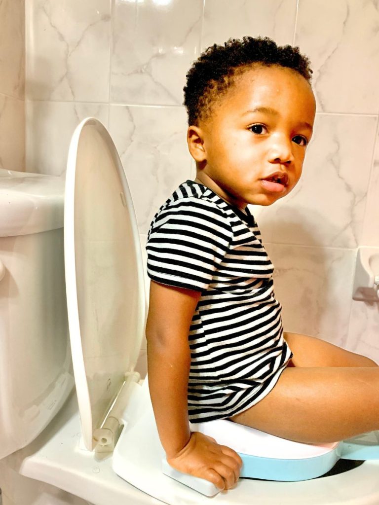 A toddler travel potty is high on the list of toddler travel essentials for a family vacation. 