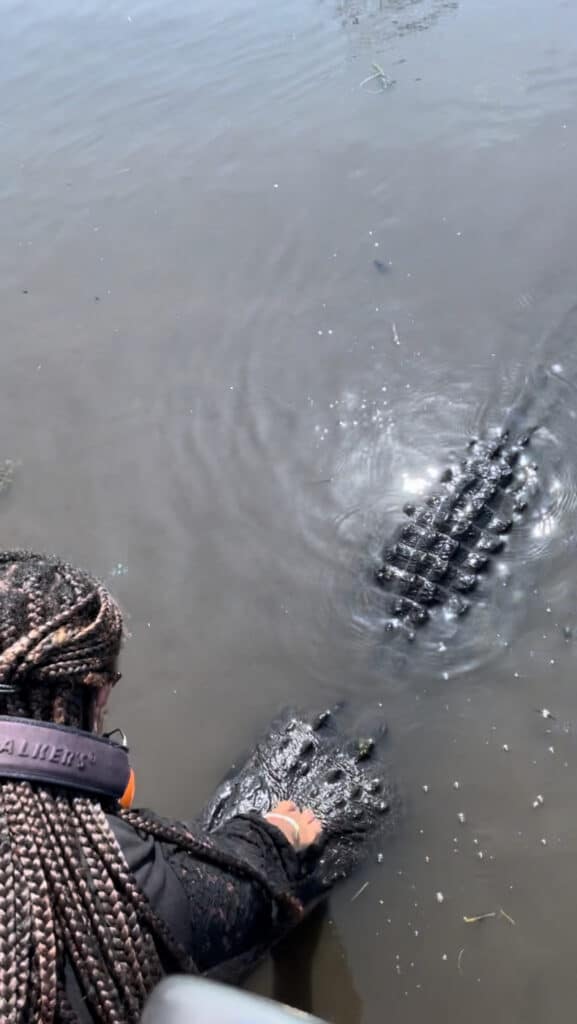 Trying my hand at touching an alligator during my air boat swamp tour- one of the many reasons people visit New Orleans 