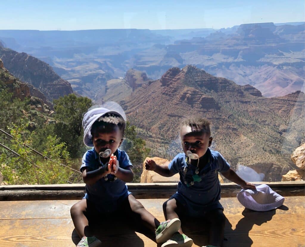 My twin boys posing in front of the Grand Canyon